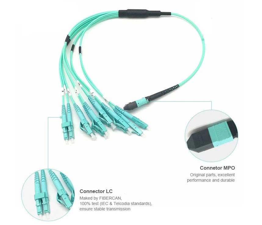 Detailed introduction