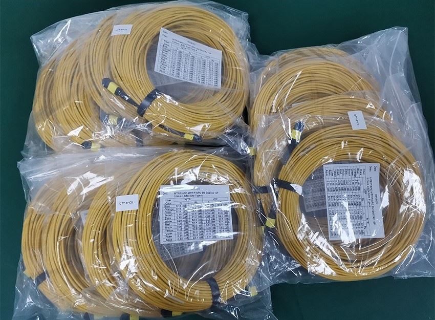 SMF Trunk Cable