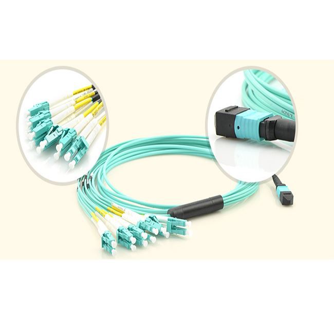 12/24 Core Multi-Mode MTP Jumper MPO Patchcord