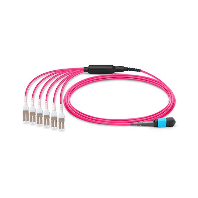 Patch Cord Magenta MTP LC Duplex 8 Fibers MMF OFNP